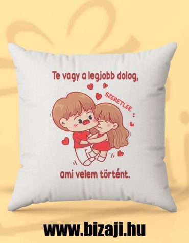 Te vagy a legjobb dolog...(párna)